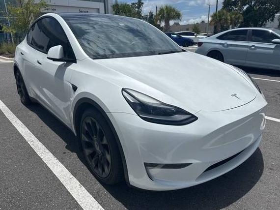 TESLA MODEL Y 2021 5YJYGDEF8MF245669 image